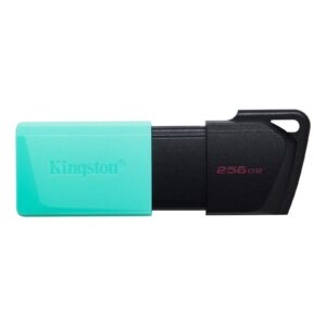 Kingston DataTraveler ExodiaM DTXM/256GB USB Flash Drive, USB 3.2