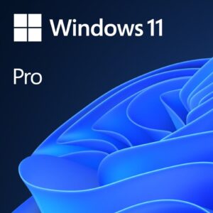 Microsoft Windows 11 Professional 64bit English OEI DVD Operating Software OEM, Windows 11