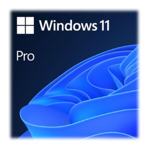 Microsoft Windows 11 Professional 64bit English USB Flash Drive (HAV-00163)