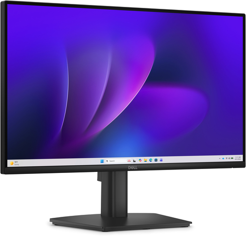 Pro 22 Monitor - E2226h .